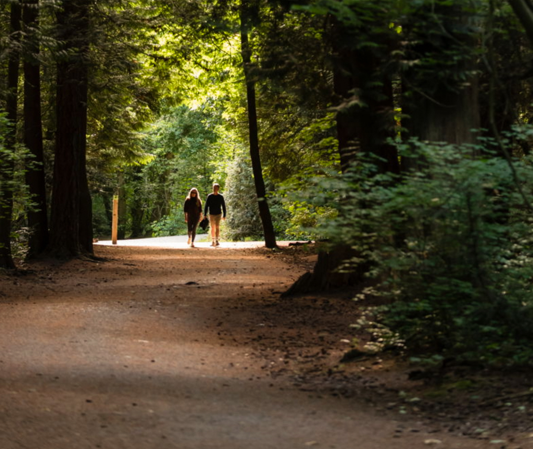 A quiet, wooded setting for walking and cycling.